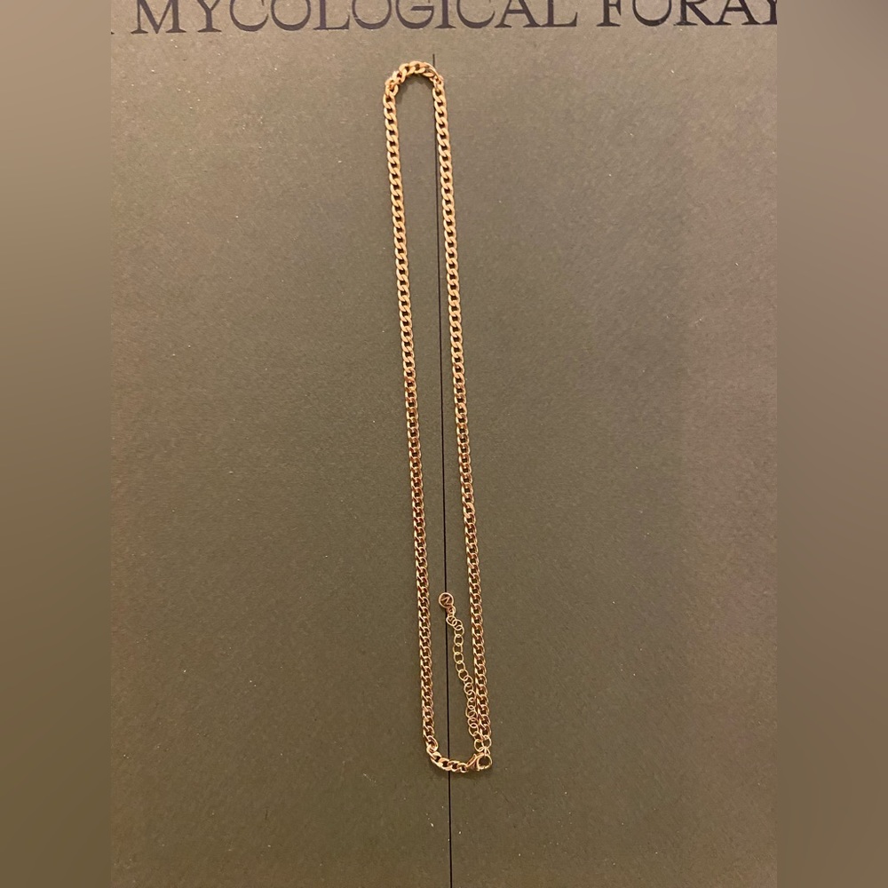 Solid 14k Yellow Gold Mejuri Curb Chain Necklace